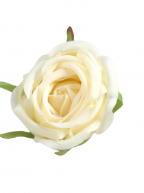 Umelé hlavy kvetov - vencovka ruža kréma A7376-1