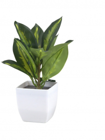 Umelá Calathea v kvetináči CV32764-MIX 