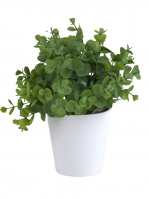 Umelý eukalyptus v kvetináči CV32776 