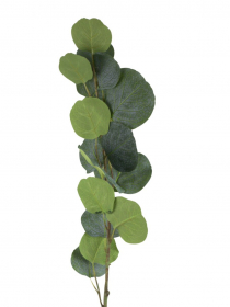 Konár eukalyptus 99 cm 24KL085 