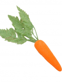 Dekoračná mrkva WIPK-3-11628-24 