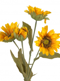 Konár slnečnica x 4 DY1-2717 