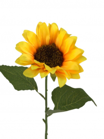 Rezaný kvet / konár slnečnica CV33385 