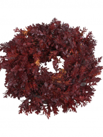  Veniec krušpán 30 cm 91CAN17-097-05