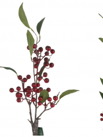 Konár bobule CV36612-MIX 