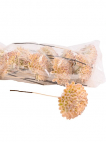 Umelý zápich sedum 15 cm (bal.12) BV07123-MIX