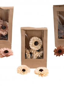 Dekoračná sušina - sušená gerbera 8 cm (1bal.) 11794-MIX