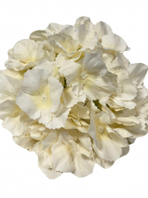 Umelé hlavy kvetov - vencovka HORTENZIA A8524-1 (bal.6) 