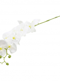 Umelá orchidea biela 90 cm CV31287-1