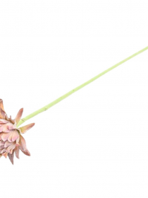 Umelá protea na stopke 58 cm R.CV32118-MIX 