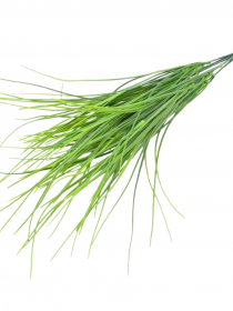 Umelá kytica / trs trávy x 6 CV32206