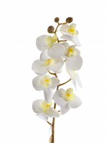 Umelá orchidea 25KL350 