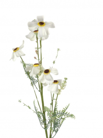 Umelý konár Kosmos / Krasuľka biela BMG435 