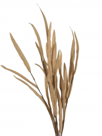 Penový konár tráva krémová 68 cm AMA967 