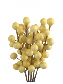 Doplnok žlté bobule zväzok ILY125 