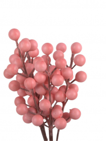 Doplnok ružové bobule zväzok ILY126