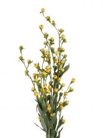 Umelý konár žlté bobule 56cm AGS372 