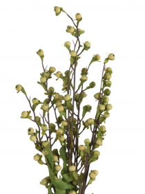 Umelý konár zelené bobule 56cm AGS365