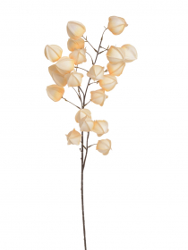 Umelý konár Physalis 100 cm 163CAN230076-E01 