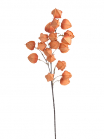 Umelý konár Physalis 100 cm 163CAN230076-F02 