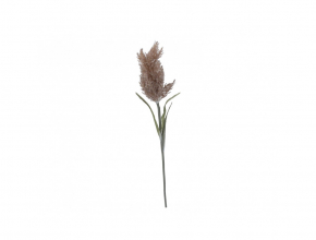 Konár pampasová tráva natural 90cm