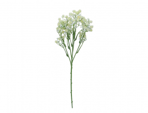 R.LIN517 Konar gypsophila