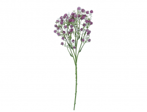 Konár gypsophila 