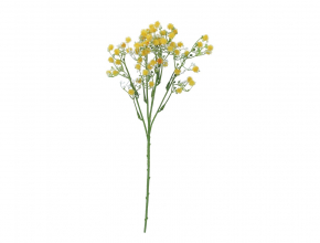 R.LIN522 Konar gypsophila