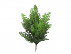 R.AVA402-1 Ky.jedla x5