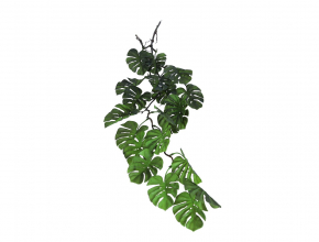 Tah.AVA421-1 Tahacka monstera zapich.