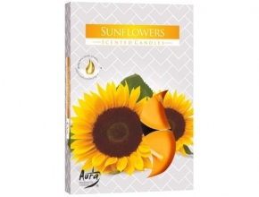 Sv.Cajova aromatická (bal.6) 11gr/4hod P15-330 Sunflowers
