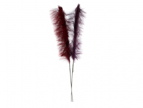 Tráva Pampas 105cm