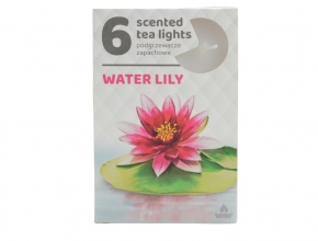 Sviečka čajová aromatická (bal.6) 11gr/4hod Water lily