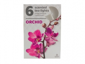 Sv.Cajova aromatická (bal.6) 11gr/4hod Orchid 321