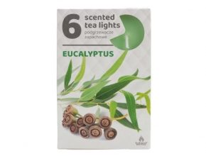 Sv.Cajova aromatická (bal.6) 11gr/4hod Eucalyptus 259