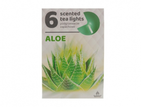 Sv.Cajova aromatická (bal.6) 11gr/4hod Aloe 445