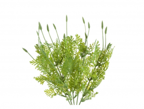 Kytica zeleň AKCIA A5759 