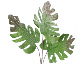 Konár Monstera penový x 3