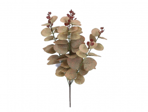 R.LIN602 Ky .eukalyptus x7