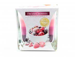 Sv.Sklo SNK80-314 Sviecka vonava 170gr/32hod.Forest berries