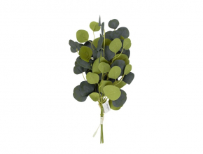R.WW163 Trs populus x3