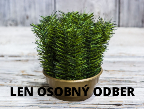 U.Kvetináč 15 Doniczka D02