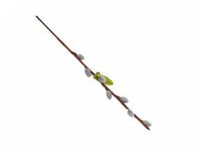 R.NS015255,8283 CENA ZA KS Bahniatko 30cm