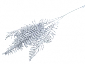 Konár papraď silver x 5 