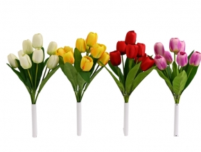 Ky.FG06 Kytička tulipán x9