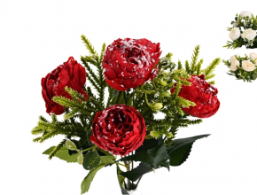 Ky.WW107 AKCIA Ky. ranunculus s čačin.x5 