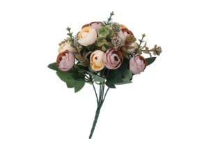Ky.22KW338 Ky. ranunculus x5