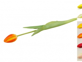Umelý tulipán