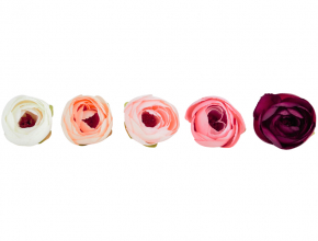 Umelé hlavy kvetov - vencovka Iskerník (Ranunculus)