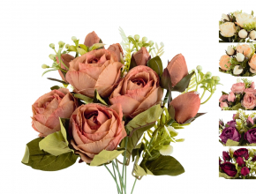 Ky.PY74566-7 Ky.ruza x7